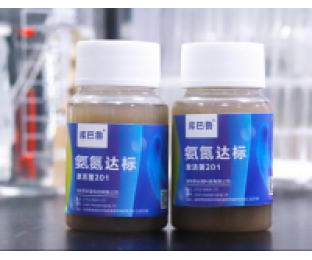 生化系統(tǒng)崩潰，氨氮超標(biāo)，我該怎么辦?