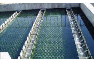 【干貨】生物濾池為什么一受沖擊氨氮去除率就會(huì)下降？